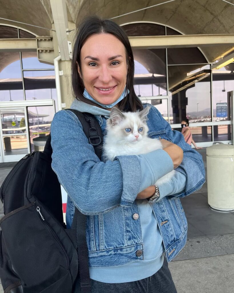 Ethical Ragdoll Breeders img3