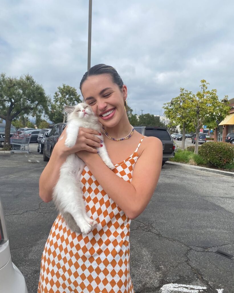 Ethical Ragdoll Breeders img5